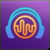 Brainwave3D软件