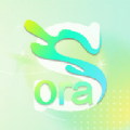 Sora视界图标