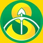 斯里坎迪软件