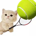 猫网球明星游戏