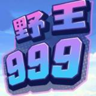 野王999