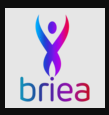 Briea软件