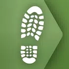 新森林软件