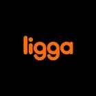 Ligga软件
