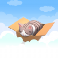 空中的可爱猫游戏