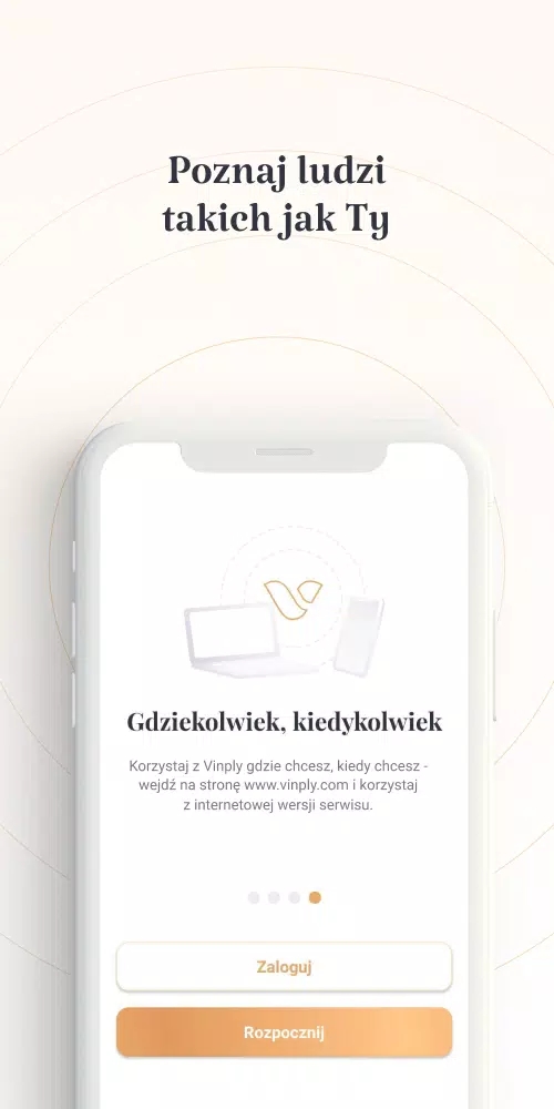Vinply软件图2
