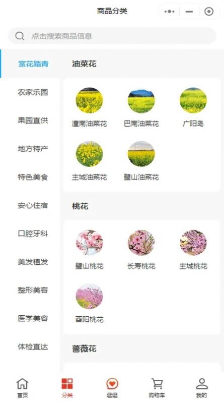 乡见美app图2