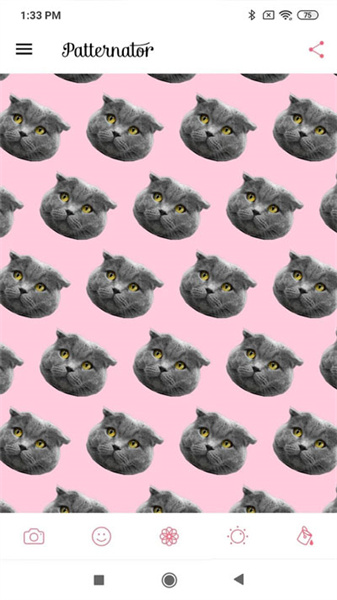 Patternator图2