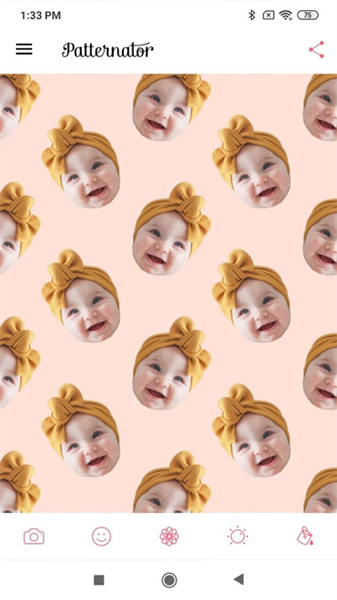 Patternator图1