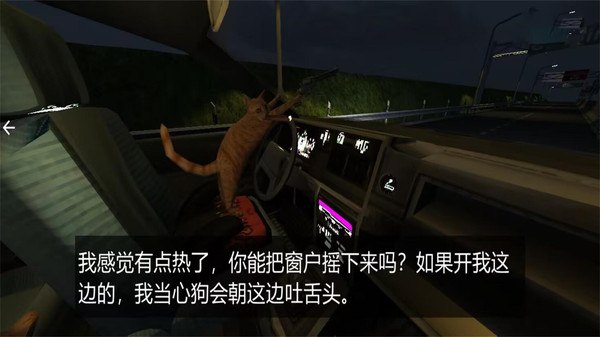 疯狂拉力车手游戏图4