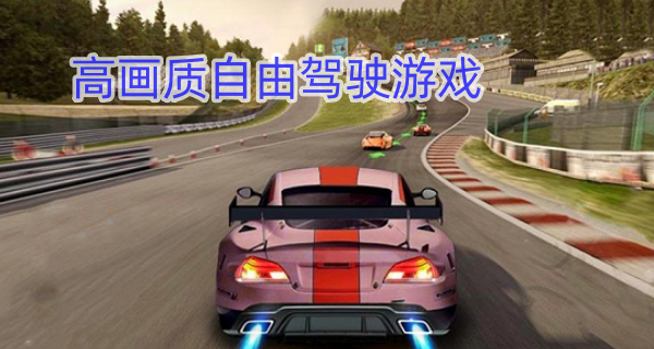 高画质自由驾驶游戏