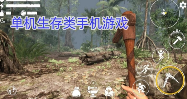 单机生存类手机游戏