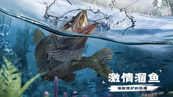 天天钓鱼最新版图3