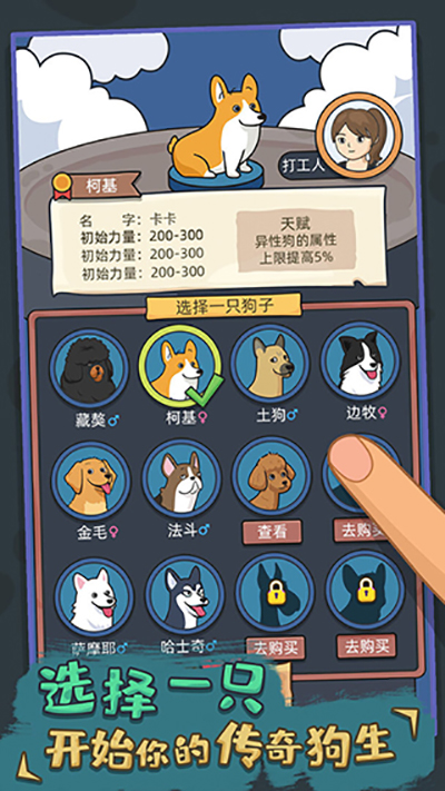 狗生模拟器最新版图3