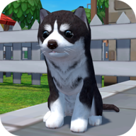 美国ZOOM动物(dog simulator - animal life)