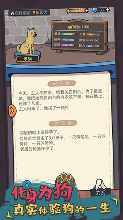 狗生模拟器最新版图1