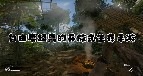 自由度超高的开放式生存手游