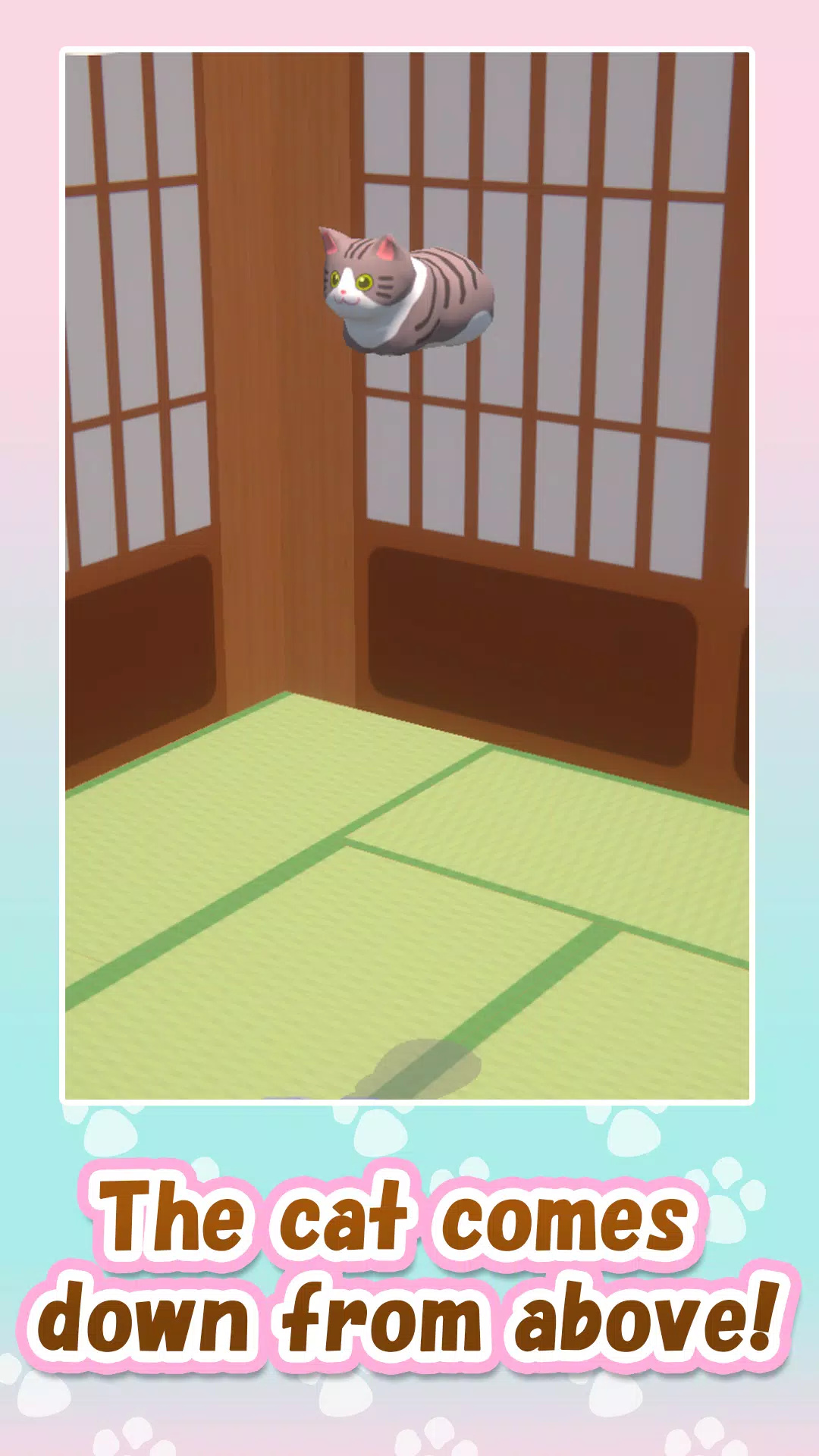纸板的猫游戏(Cardboard Cat)图2