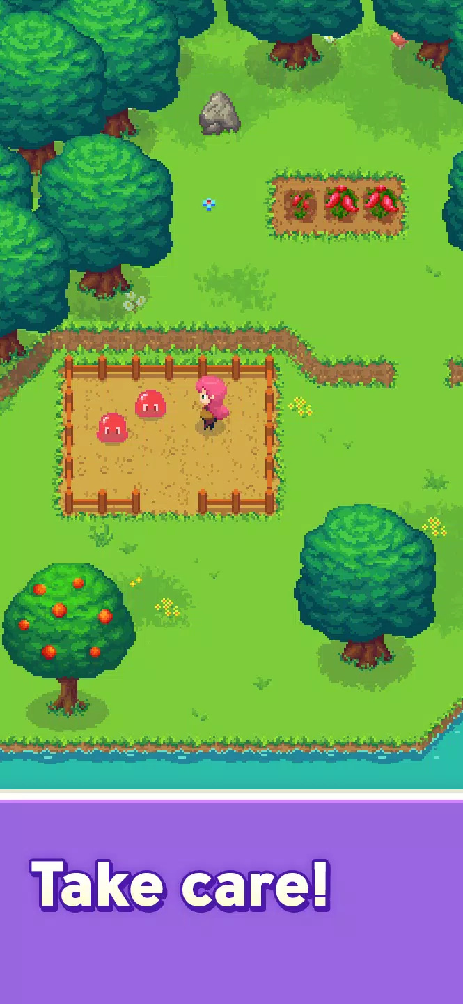 魔法口袋农场游戏(Magic Pocket Farm)图4