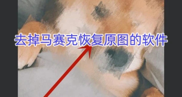 去掉马赛克恢复原图的软件