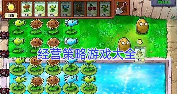 经营策略游戏大全