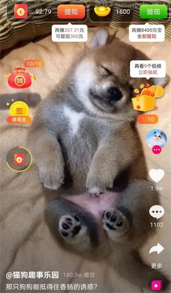 斑点狗app图2
