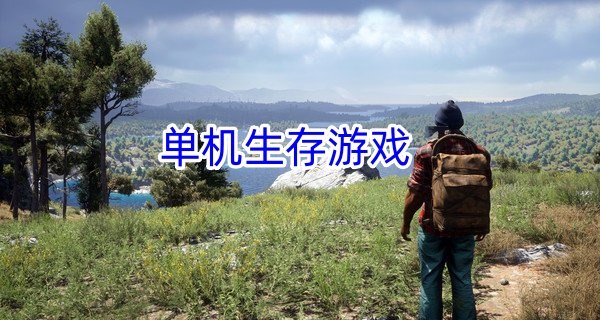 单机生存游戏