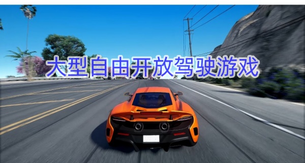 大型自由开放驾驶游戏