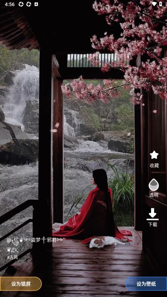 熊猫免费壁纸app图1
