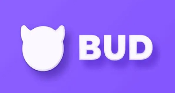 bud版本合集