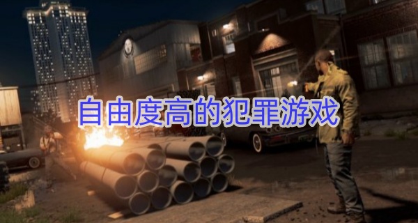 自由度高的犯罪游戏