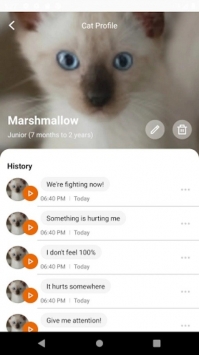  meowtalk图1