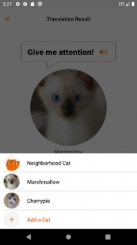  meowtalk图2