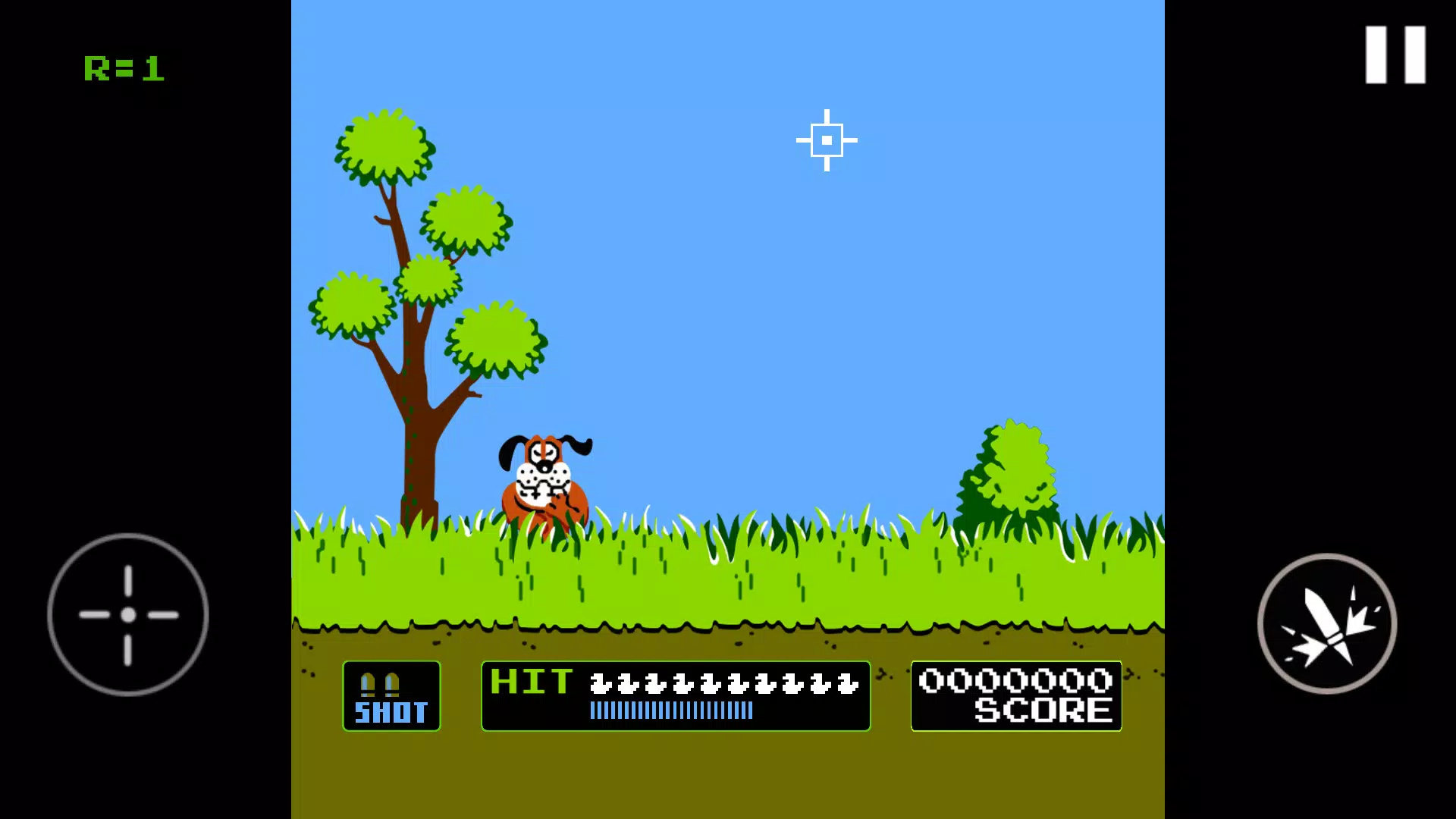 射鸭子游戏(Duck Shoot)图1