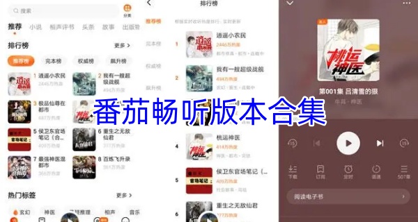 番茄畅听版本合集