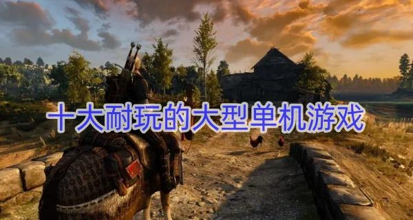 十大耐玩的大型单机游戏