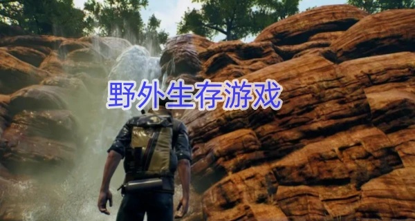 野外生存游戏