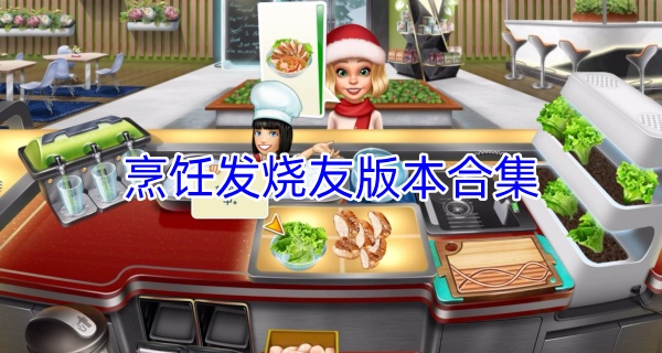 烹饪发烧友版本合集