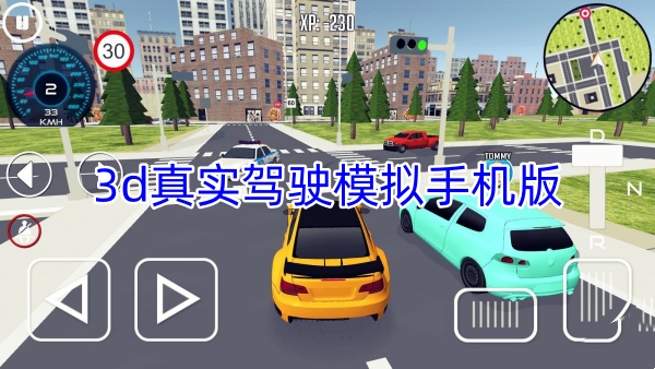 3d真实驾驶模拟手机版