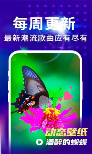 来电视频铃声免费版图1