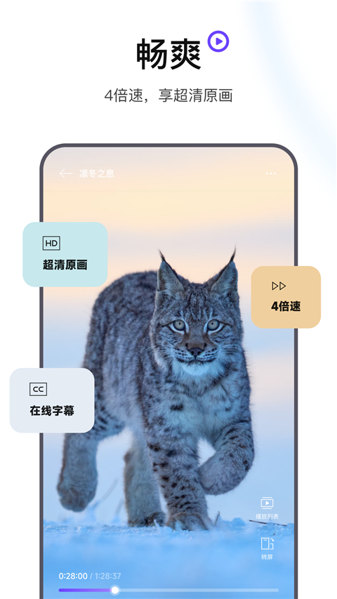迅雷浏览器app图1