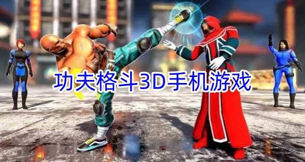 功夫格斗3D手机游戏