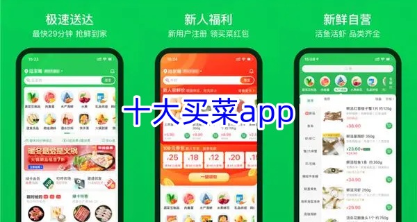 十大买菜app