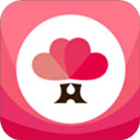 婚语app官网版