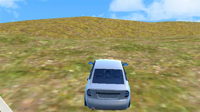 狂野赛车3D图3