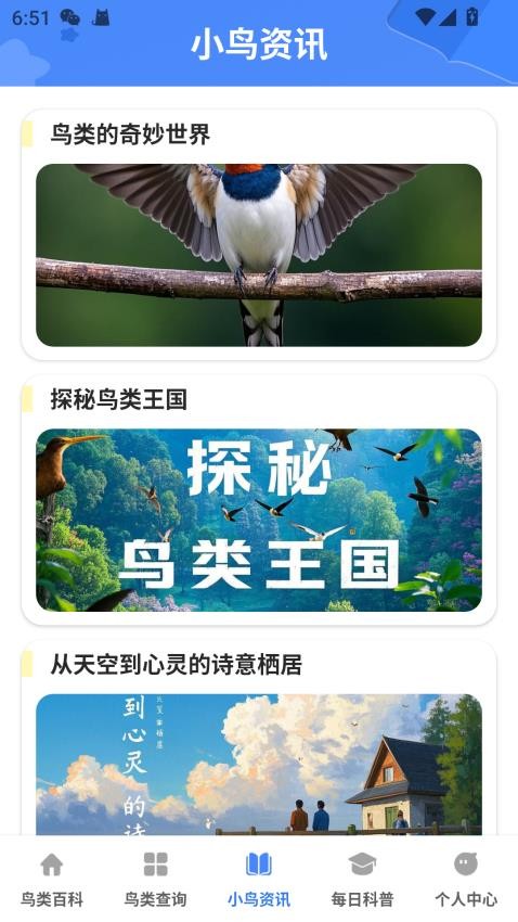 小鸟合不停图3