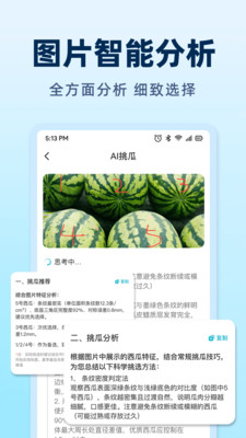AI挑瓜app图1