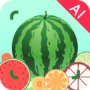 AI挑瓜app