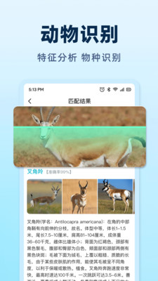 AI挑瓜app图2