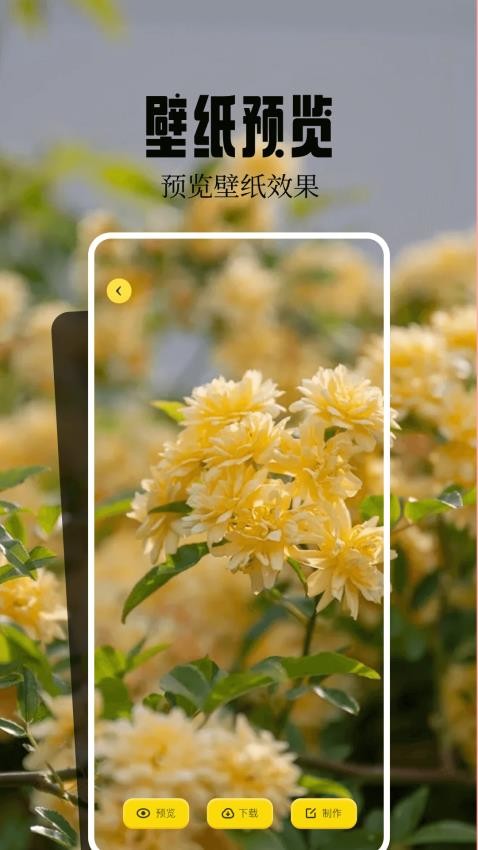 火花主题壁纸图2